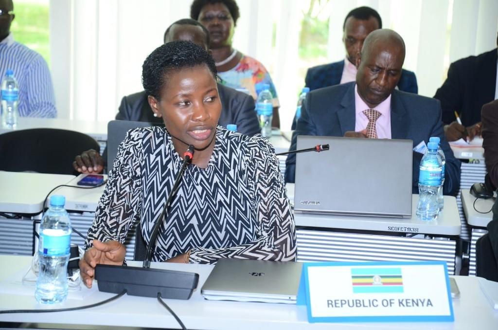 PS MSME at 43rd Sectoral Council on Trade, Industry, Finance and Investment