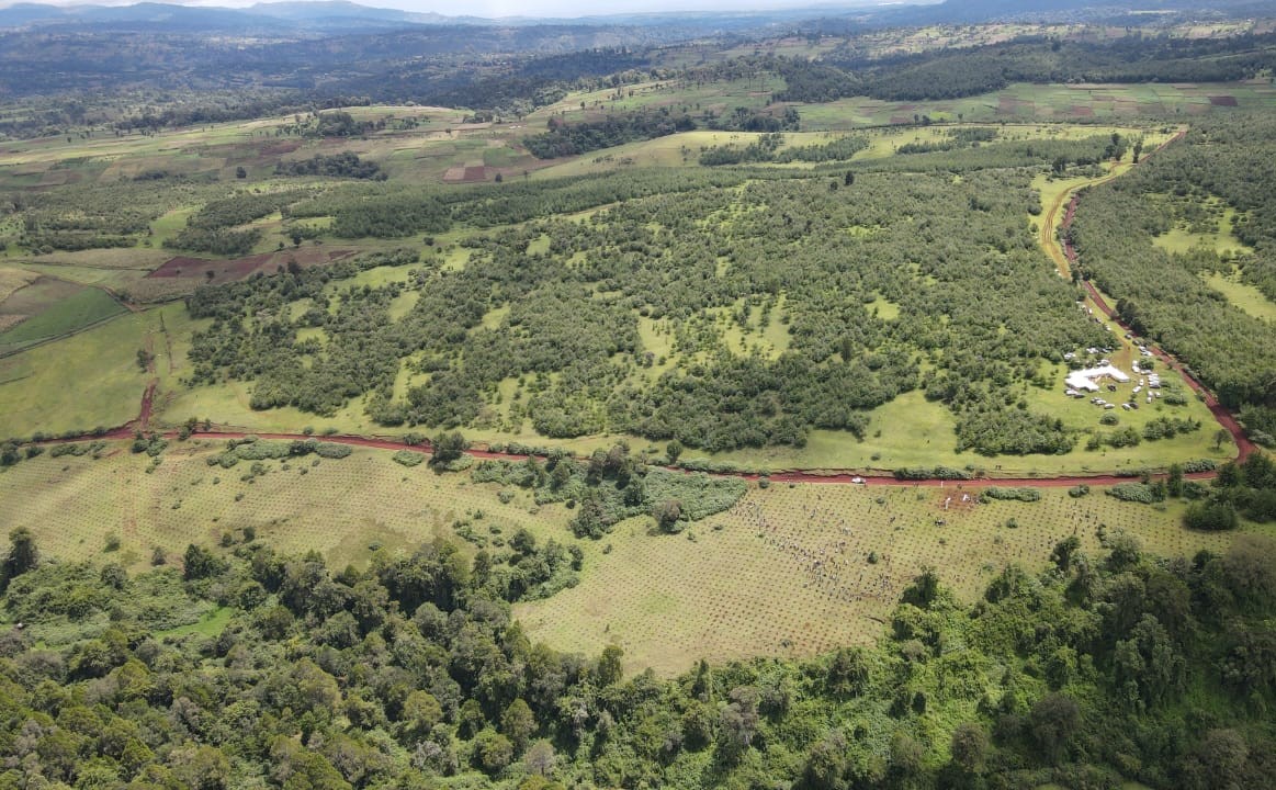 Ariel overview of tree planting task ahead