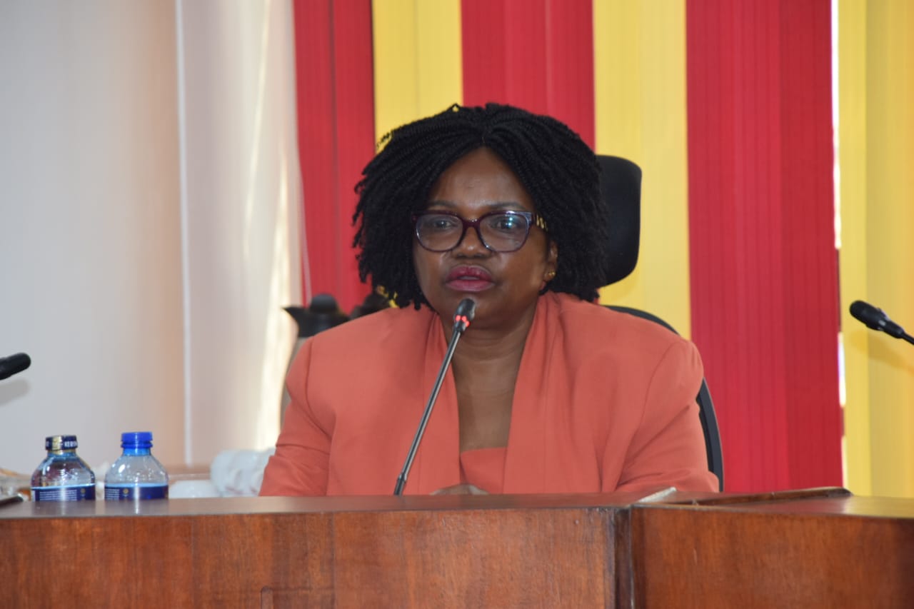 Member to the National Assembly Departmental Committee