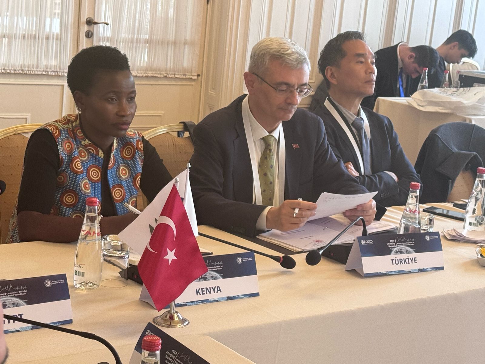 PS MSMEs Development at the high-level OECD Emerging Markets Forum in Istanbul