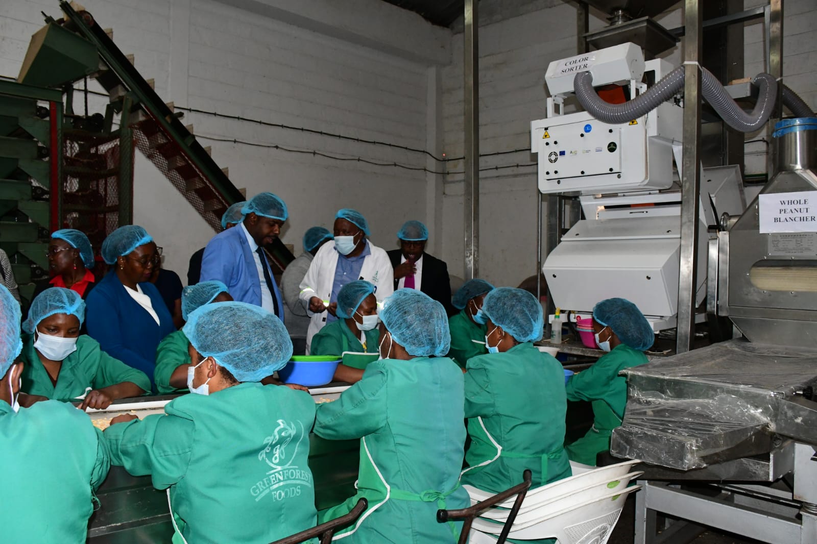 Visit to Green Forest Limited