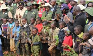 Tree day planting exercise