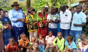 Tree Planting at Busia County