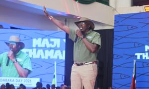 Delegate present at the Madaraka Day Thematic Week