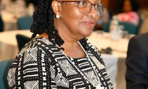 Delegates present at the high-level forum