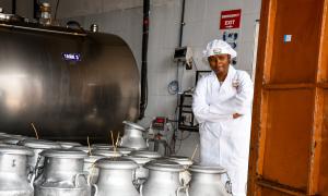 Ndumberi Dairy Farmers Cooperative Society