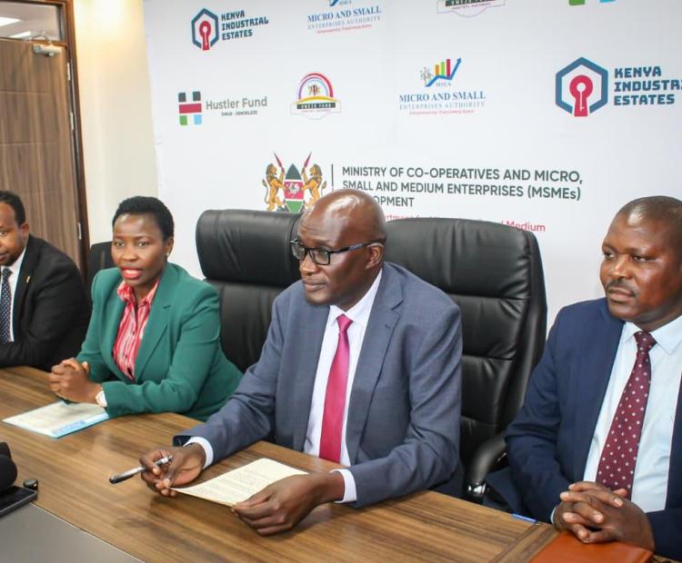 NYOTA Project Nation-Wide Mentorship Program